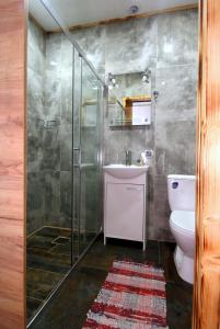 什恰夫尼察Pod Słowackim的带淋浴、卫生间和盥洗盆的浴室