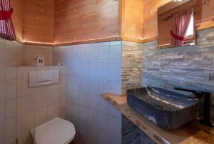 圣加伦基希Haus Monika Silvrettablick的一间带水槽和卫生间的浴室