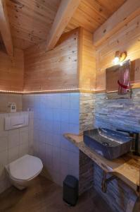 圣加伦基希Haus Monika Silvrettablick的一间带卫生间和水槽的浴室