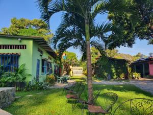 Puerto ColombiaHostal Nova Colonial的一个带椅子的庭院和棕榈树
