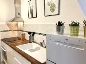 鲁昂La Tour de Jeanne : Hypercentre charme et design的一个带水槽和洗碗机的厨房