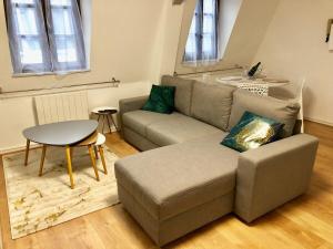 鲁昂La Tour de Jeanne : Hypercentre charme et design的客厅配有沙发和桌子