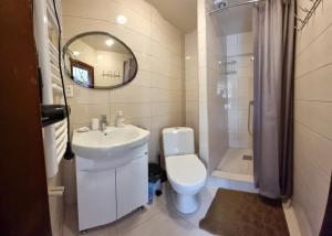 科洛恰瓦Коло Гір的一间带卫生间、水槽和镜子的浴室