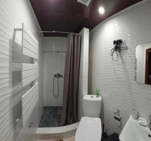 科洛恰瓦Коло Гір的白色的浴室设有卫生间和淋浴。