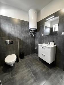 什图罗沃MG Apartments Štúrovo的一间带卫生间、水槽和镜子的浴室