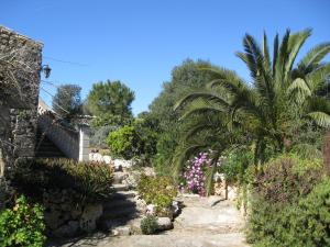马纳科尔Finca Sa Cova Vella的种有棕榈树和鲜花的花园