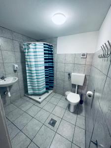 卢布尔雅那特鲁巴耶瓦54旅馆的一间带卫生间和水槽的浴室