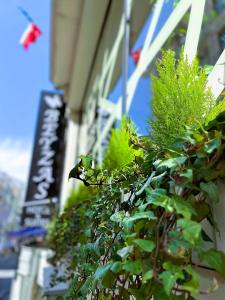 伊斯坦布尔Beyzas Hotels & Suites的建筑物前有绿叶的植物