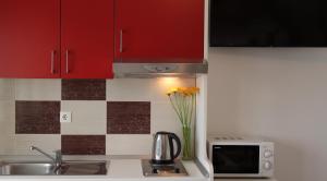 布雷拉艾米利亚公寓的一间厨房,配有红色橱柜和花瓶