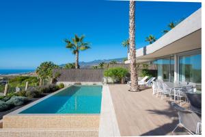 吉亚德伊索拉Los Jardines de Abama Suites的棕榈树屋旁的游泳池
