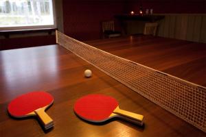 米凯利Villa Valmuska的两张乒乓球拍和一张桌上的球