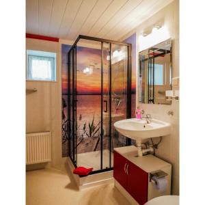 德雷施维茨恩赛罗曼蒂克吕根岛酒店的浴室设有淋浴,墙上挂有绘画作品