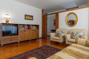 莱维科特尔梅Casa Agnese, Levico Terme - Ospitar的客厅配有电视、沙发和椅子