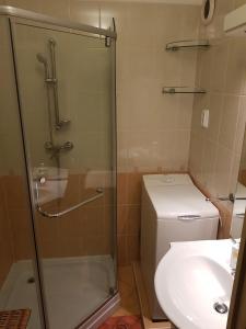 索尔沃什Jókai Apartman Szarvas的带淋浴、卫生间和盥洗盆的浴室