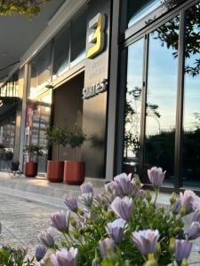 萨兰达3B Suites Boutique Hotel的前面有鲜花的商店