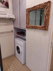 波尔兰特LES GÎTES DU DOMAINE DE PETITE-ANSE的洗衣房配有洗衣机和镜子