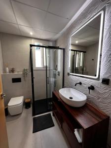 科尔多瓦Luxury new 6 pax apart Downtown.的一间带水槽、卫生间和镜子的浴室