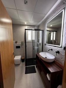 科尔多瓦Luxury new 6 pax apart Downtown.的一间带水槽、卫生间和镜子的浴室
