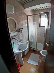 奥赫里德VN APARTMENTS OHRID的一间带水槽、淋浴和卫生间的浴室
