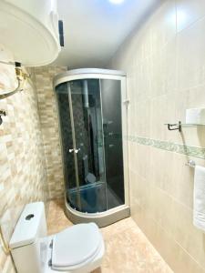 马德里杰姆征服者公寓的一间带卫生间和玻璃淋浴间的浴室