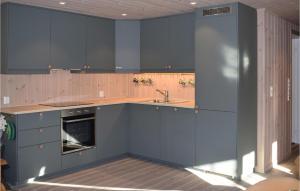 内斯比恩Beautiful Home In Nesbyen With Kitchen的厨房配有蓝色橱柜和水槽