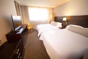 里奥内格罗拉斯洛马斯莫维奇酒店的酒店客房配有两张床和一张书桌
