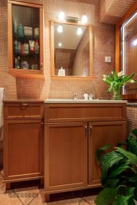 新梅斯托Vineyard Cottage Klemencic的一间带水槽和镜子的浴室