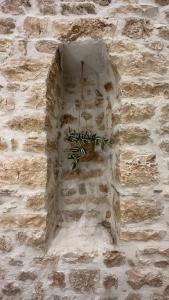 约阿尼纳Celestia Home的石墙篮子中的植物