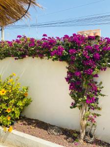 博尔钮乌Casa fiesta stunning villa的白色的墙,上面有紫色的花