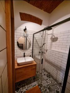 卢捷拿纳德德斯努5 stylových apartmánů v srdci Jeseníků的浴室配有盥洗盆和带镜子的淋浴