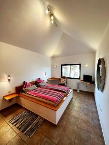 查德尔帕罗奥隆达之家别墅的一间卧室设有一张大床和一个窗户。