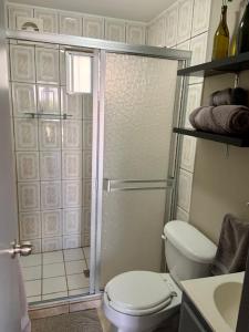 提华纳soler 18的带淋浴、卫生间和盥洗盆的浴室