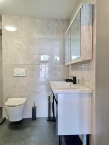 米德尔堡Hotel De Dampoort的浴室配有白色水槽和卫生间。