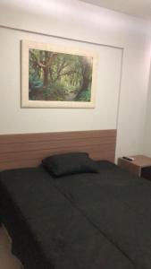 热河市Veredas do Rio Quente Hotel Service的一间卧室配有一张壁画床