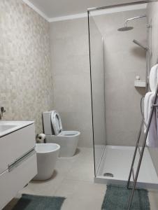 吉尔斯Quinta da Casa Matilde - NATURE HOUSE的一间带卫生间和玻璃淋浴间的浴室