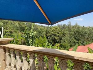 阿鲁沙Hein apartment的绿树成荫的阳台顶部的蓝伞