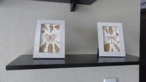 帕尔马斯Studio Próximo ao centro的两幅架子上蝴蝶的照片