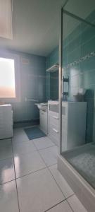 特鲁瓦Chez Toni的浴室配有水槽和淋浴。