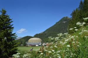 达沃斯AlpenGold Hotel Davos的花丛中一座建筑物
