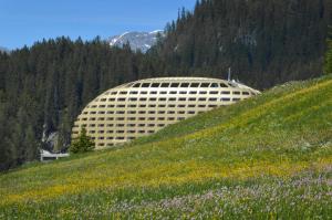 达沃斯AlpenGold Hotel Davos的一座花田似的山丘上的建筑
