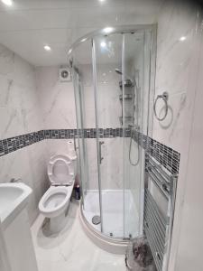 FelthamAmazing 1 bed flat near Heathrow的带淋浴、卫生间和盥洗盆的浴室