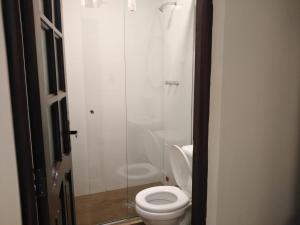苏克雷Ajayu Sucre的一间带卫生间和玻璃淋浴间的浴室