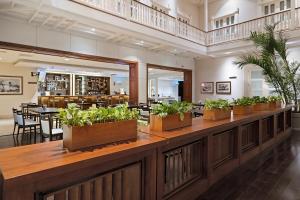 巴拿马城Central Hotel Panama Casco Viejo的柜台上种有盆栽植物的餐厅