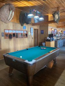格伦纳伦Tolsona Lake Lodge的一张位于房间中间的台球桌