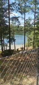 Stara KiszewaDom leśny w Konarzynach的透过栅栏可欣赏到湖泊美景