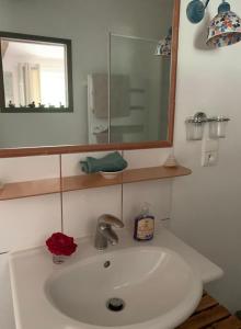 Chein-Dessus克明基依斯里贝康酒店的浴室设有白色水槽和镜子