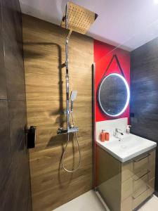 图卢兹Red Lounge的带淋浴和盥洗盆的浴室