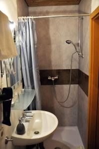 莱希布鲁克Pension Hirsch的浴室配有水槽和带淋浴的淋浴。
