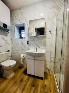 辛安诺泽蒂Aparts Care Beztroska的白色的浴室设有卫生间和水槽。