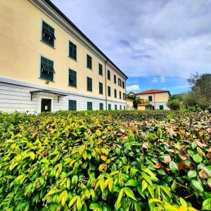 萨尔扎纳圣卡特里娜公园酒店的建筑前的一堆绿色植物